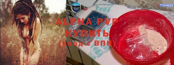 гашик Алексеевка