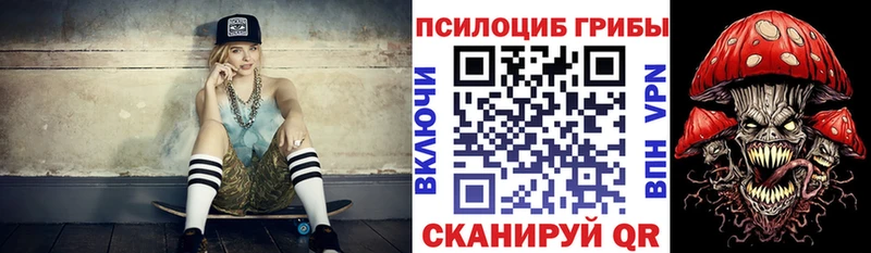 наркотики  Западная Двина  Псилоцибиновые грибы ЛСД 